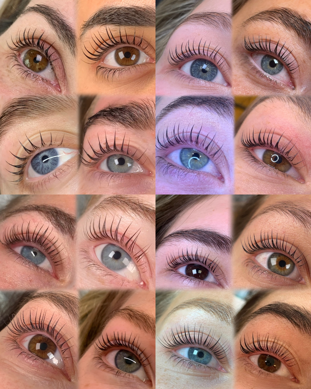 1 Day In-Person | Korean Lash Lifting Training Course