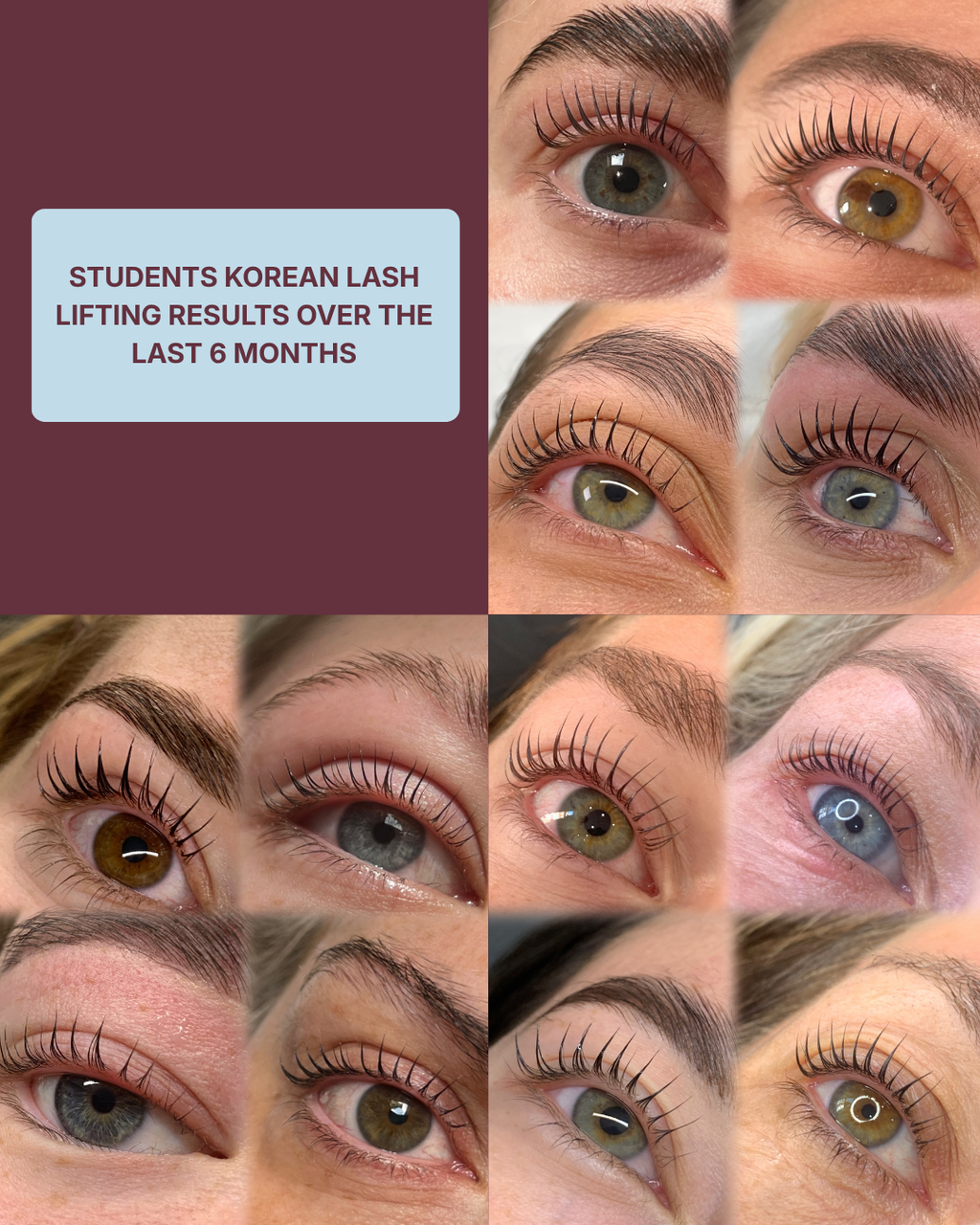 1 Day In-Person | Korean Lash Lifting Training Course